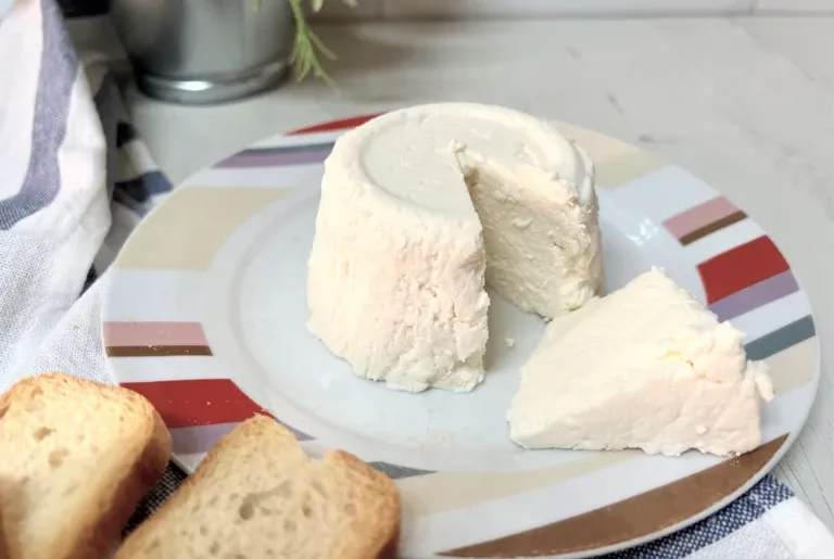 como hacer queso fresco casero