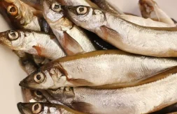 PESCADOS TIPOS Y USOS